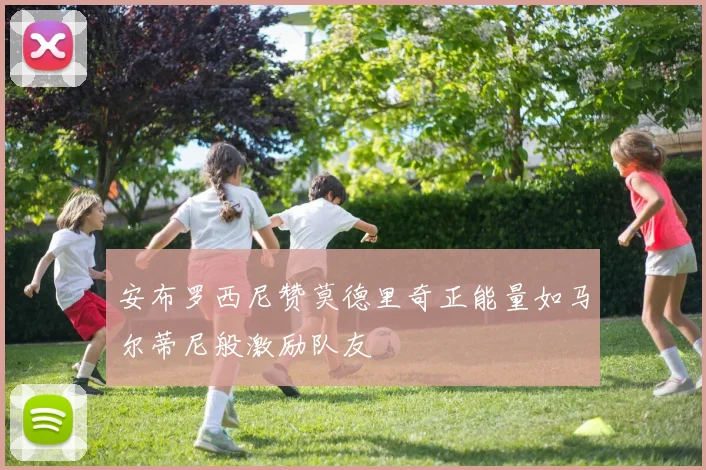 安布罗西尼赞莫德里奇正能量如马尔蒂尼般激励队友