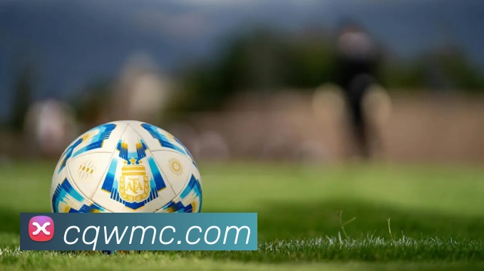 美彩国际品牌故事