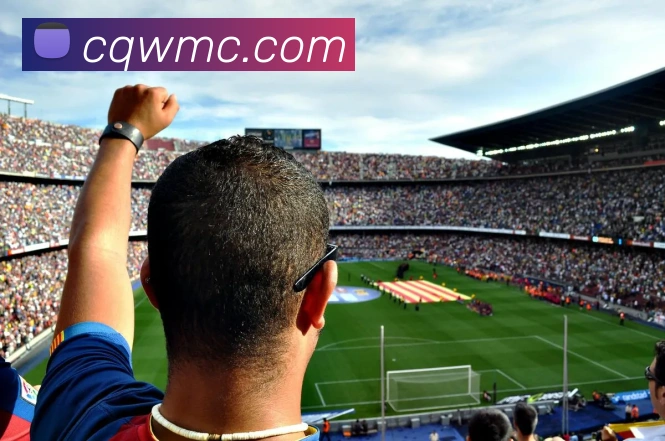 美彩国际服务体系